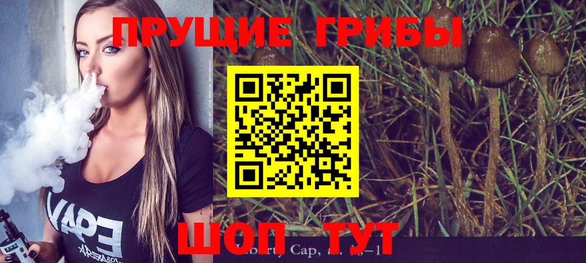 купить   Вход с VPN  Мценск  Псилоцибиновые грибы мухоморы 