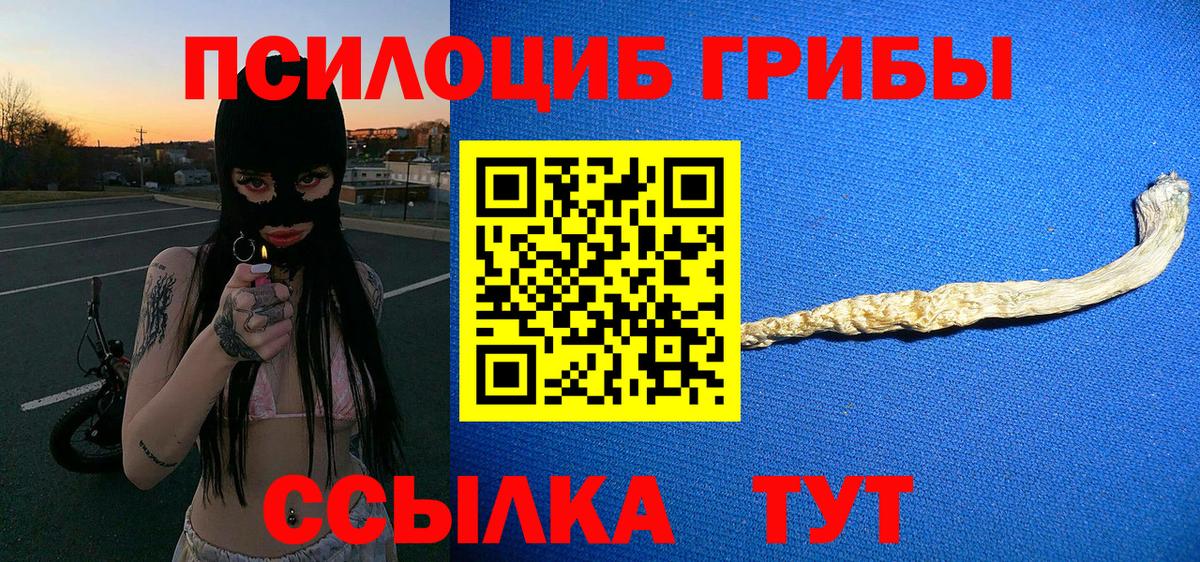 Псилоцибиновые грибы прущие грибы Мценск