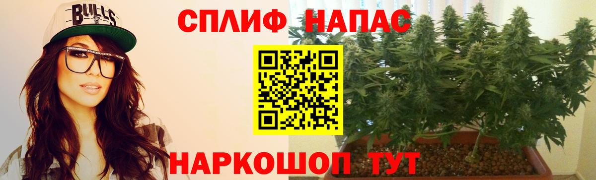 Канабис планчик  Вход с VPN  Канабис план  Каннабис планчик  Мценск  Канабис конопля 